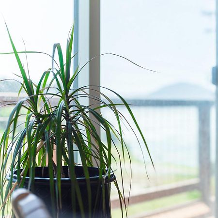 #Stayinmydistrict Oceanview Studio Loft 포트오르포드 외부 사진