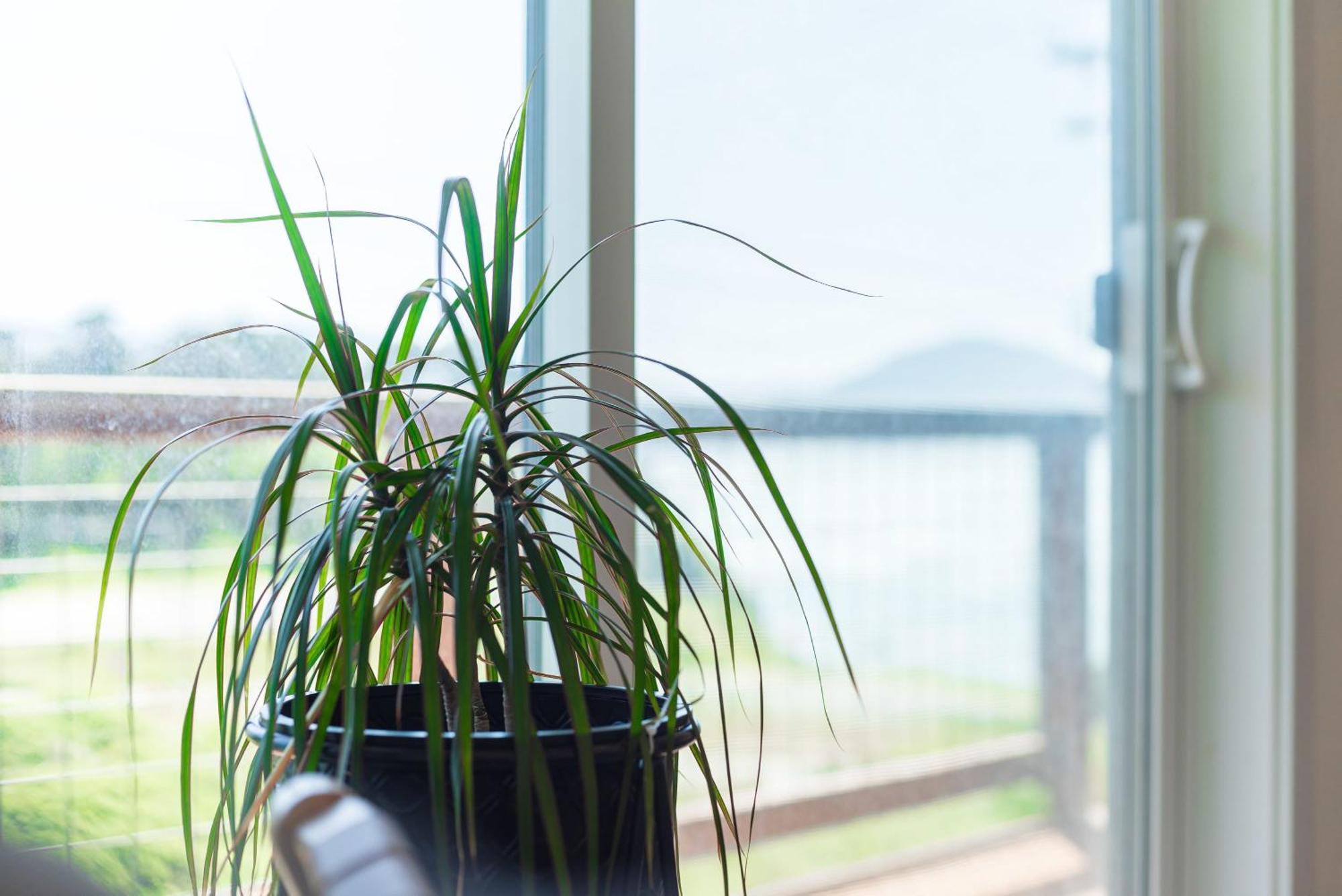 #Stayinmydistrict Oceanview Studio Loft 포트오르포드 외부 사진